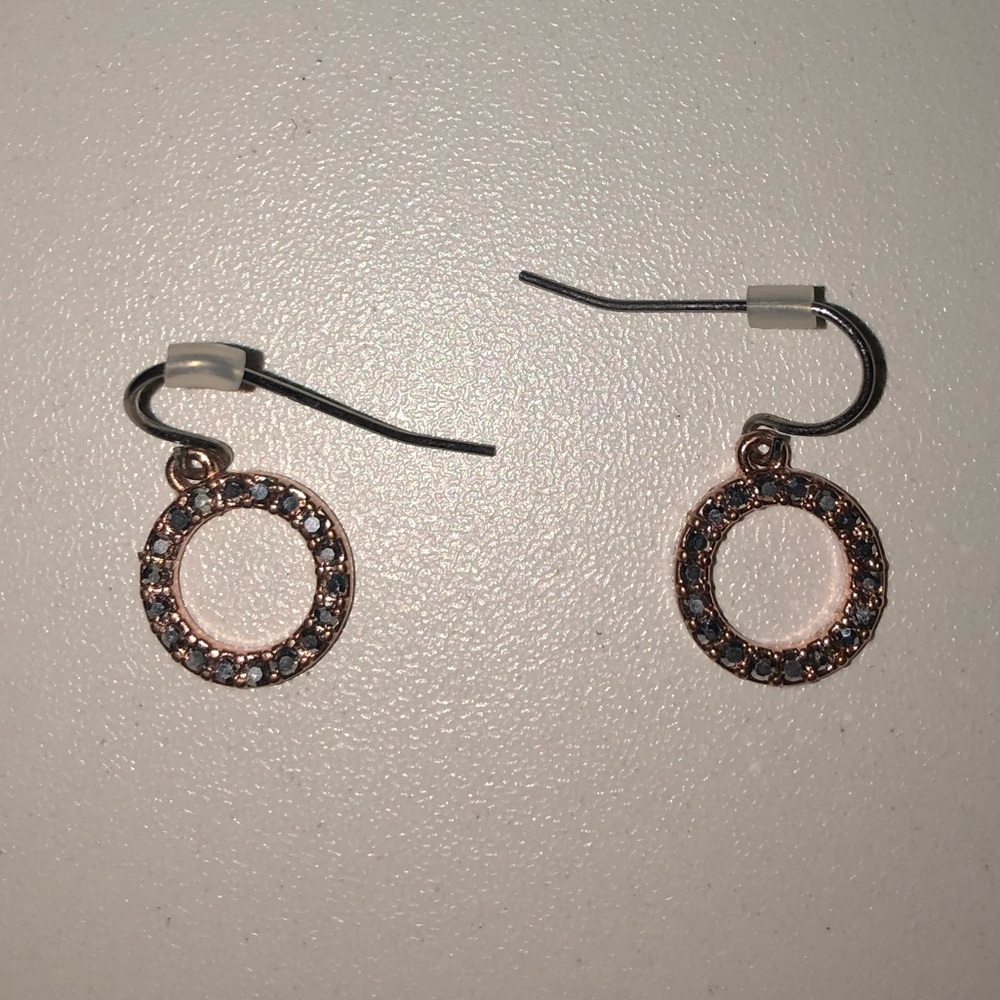 Rose Gold Drop Circle Earrings